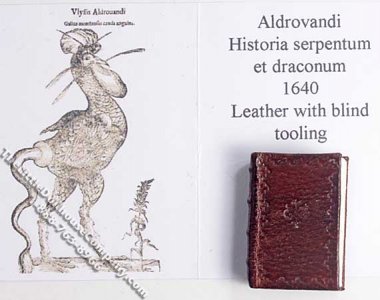 (image for) Miniature Book: 'Historia Serpentum et Draconum'