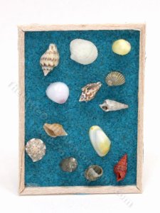 (image for) Miniature Large Shell Wall Art for Dollhouses