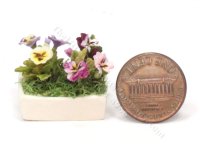 (image for) Miniature Pansies in White Rectangular Ceramic Planter