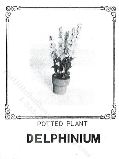 (image for) Miniature Potted Delphinium Plant Kit
