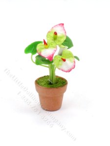 (image for) Miniature Potted Pink Laceleaf Plant for Dollhouses