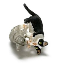 (image for) Miniature Gray and Black/White Wrestling Kittens