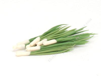 (image for) Miniature Stalk of Green Onion