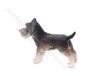 (image for) Miniature Salt and Pepper Schnauzer