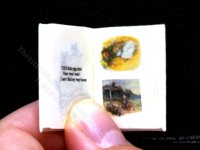 (image for) Miniature Book:Beatrix Potter's 'Cecily Parsley Nursery Rhymes'