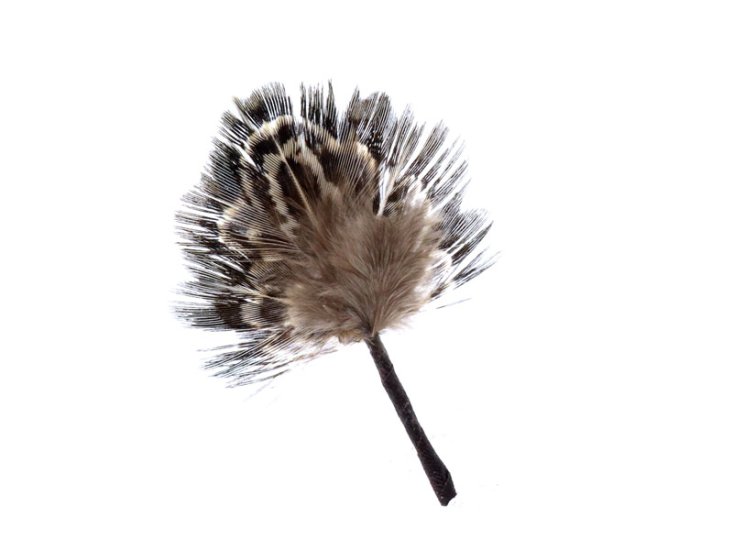 A generic image
