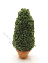 (image for) Miniature 3" Spruce Topiary in Terracotta Pot for Dollhouses