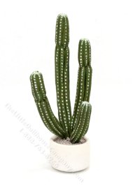 (image for) Miniature Cactus for Dollhouses