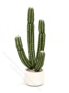 (image for) Miniature Cactus for Dollhouses