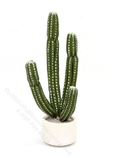 (image for) Miniature Cactus for Dollhouses