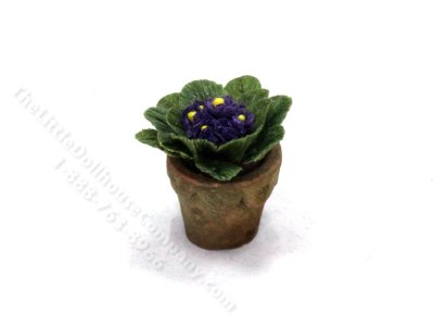 (image for) Miniature African Violet by Charlotte Willmott