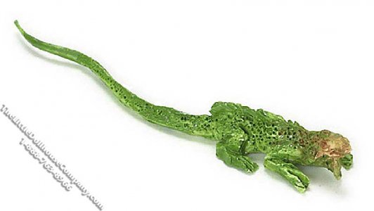 (image for) Miniature Iguana for Dollhouses