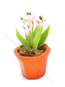 (image for) Miniature Pot of Lilies