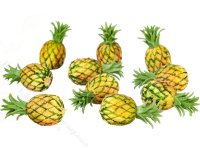 (image for) Miniature Pineapple