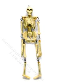 (image for) Miniature Skeleton for Dollhouses