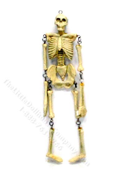 (image for) Miniature Skeleton for Dollhouses