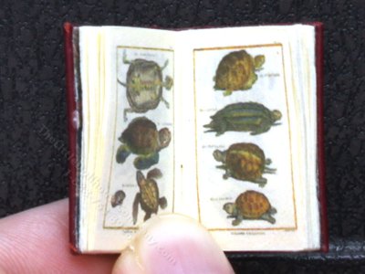 (image for) Miniature Book: 'Tableau Encyclopedique...de la Nature'