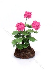 (image for) Pink Geraniums in Soil, Mini Creations by Judy