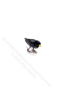 (image for) Dollhouse Scale Model Starling