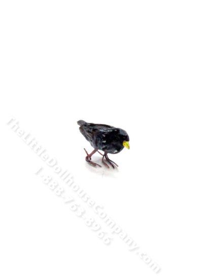 (image for) Dollhouse Scale Model Starling