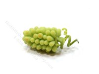 (image for) Miniature White Grapes