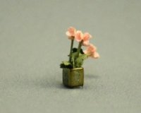 (image for) Quarter Scale Flowers in Pot