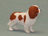 (image for) Miniature Cavalier King Charles Spaniel by Karl Blindheim