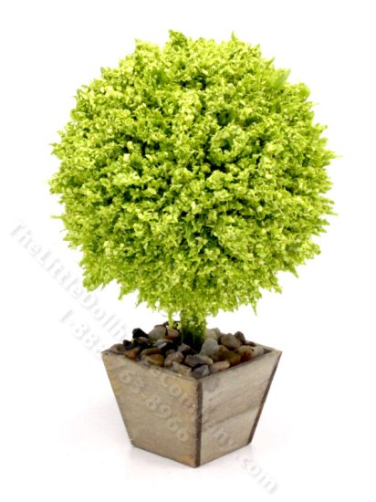 (image for) Miniature Handmade Common Box Plant for Dollhouses