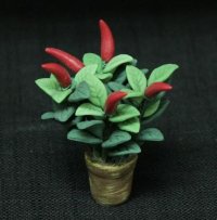 (image for) Red Peppers in Pot
