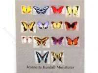 (image for) Miniature Butterfly Kit for Dollhouses