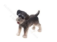 (image for) Miniature Salt and Pepper Schnauzer