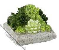 (image for) Dollhouse Scale Model Low Square Resin Succulent Plant