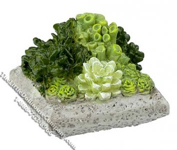 (image for) Dollhouse Scale Model Low Square Resin Succulent Plant