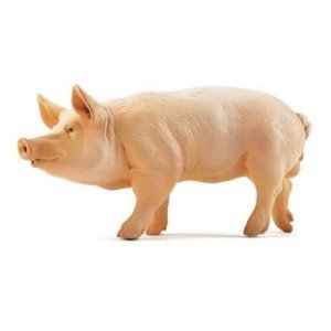 (image for) Dollhouse Scale Model Boar