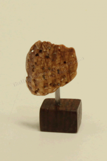 (image for) Miniature Brown Shell Sculpture by PRD Miniatures