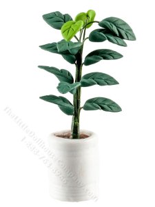 (image for) Miniature Houseplant in White Planter