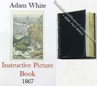 (image for) Miniature Book: 'Instructive Picture Book'