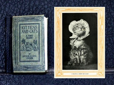 (image for) Miniature Illustrated Readable Book: 'Kittens & Cats'