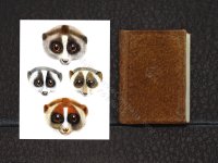 (image for) Miniature Book: 'Zoological Society of London'