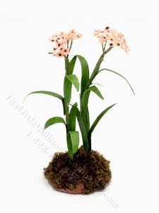 (image for) Miniature Pink Yarrow in Soil for Dollhouses