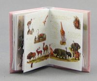 (image for) Dollhouse Scale Model Picture Show Pop-up Book