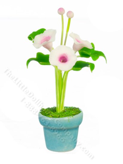 (image for) Miniature Morning Glories in a Pot for Dollhouses