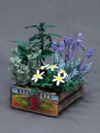 (image for) Miniature Flowers and Herbs in Crate