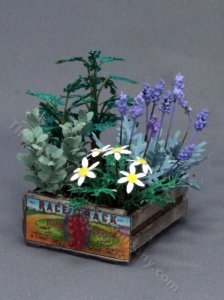 (image for) Miniature Flowers and Herbs in Crate