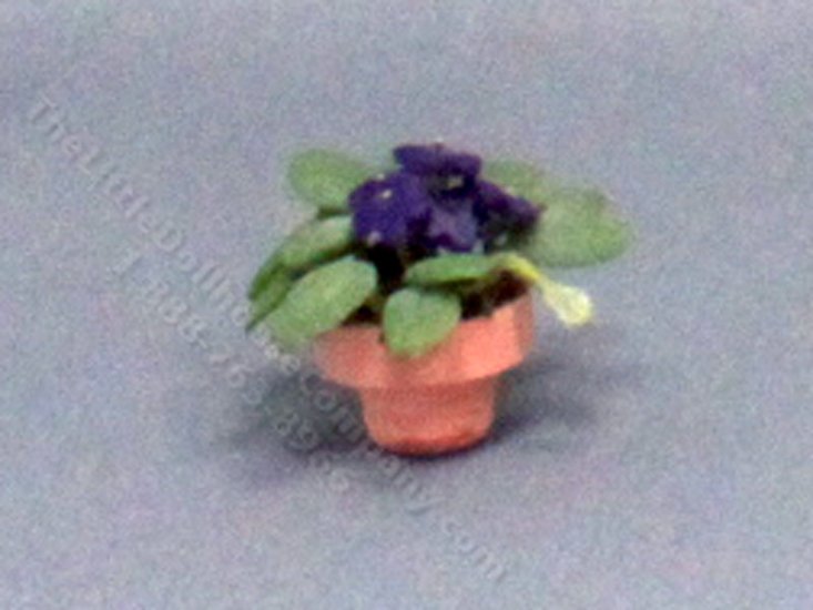 (image for) Half-Scale Miniature African Violets for Dollhouses