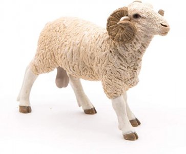 (image for) Miniature Ram for Dollhouses