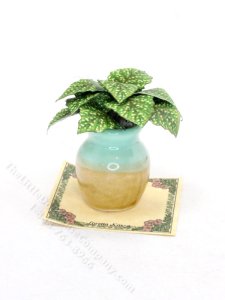 (image for) Miniature 'White Ice' Begonia In Two-Tone Pot for Dollhouses
