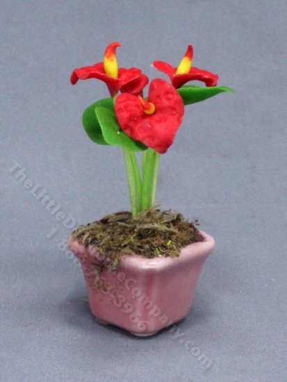 (image for) Miniature Potted Laceleaf Plant for Dollhouses