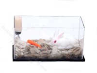 (image for) Miniature White Rabbit in Habitat by Alice Zinn for Dollhouses