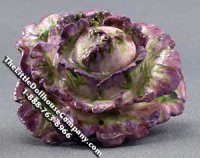 (image for) Red Cabbage